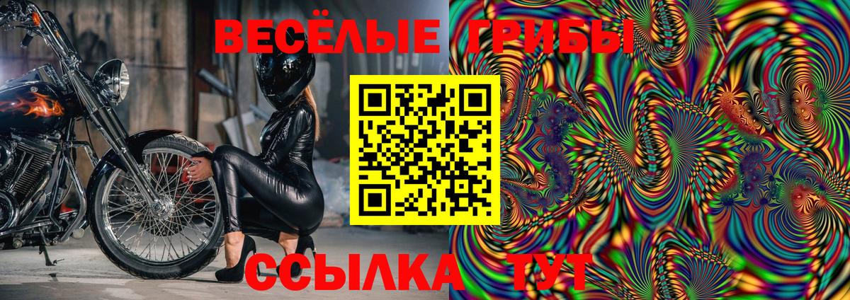 Белгород  Галлюциногенные грибы Psilocybe  Вход с VPN 