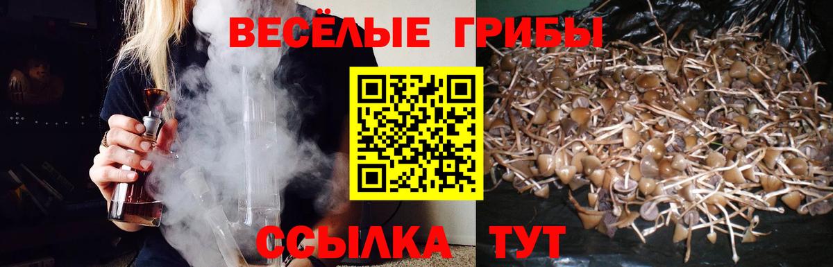 Галлюциногенные грибы ЛСД Белгород